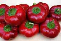 Sweet-pepper-ashe-county-pimiento