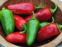 Hot-pepper-jalapeno-6ef98ef01e2b4de7e23296a40870080c